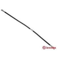 Brembo Bremsschlauch Bremsleitung Vorne Links FüR Nissan Qashqai +2 I T 56 179
