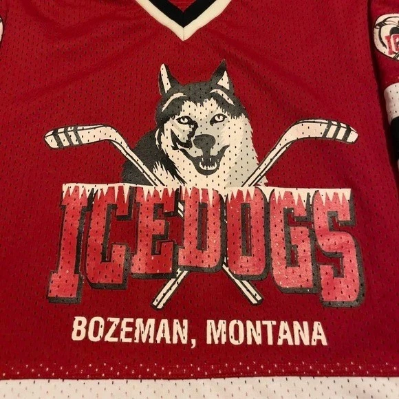 Camiseta vintage años 90 Bakka Bozeman Montana Icedogs husky y palos de hockey L EE. UU. Foto 3 de 4