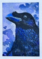  on The Hot Collector