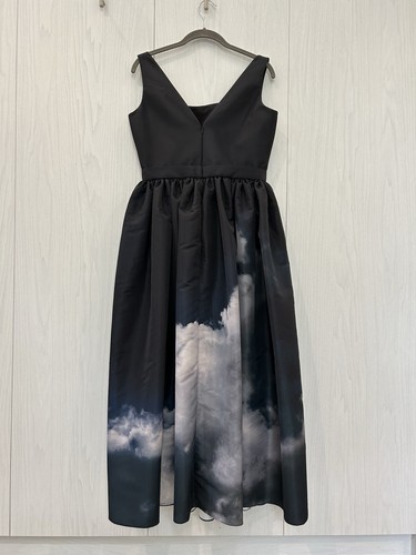 Alexander McQueen 'Storm' Runway Midi Dress, US8 IT44 - Picture 4 of 12