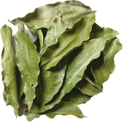 #ad #ad Mango Leaves Mangifera indica blood sugar amp; pressure Organic Dried Herb 25 pics $24.99