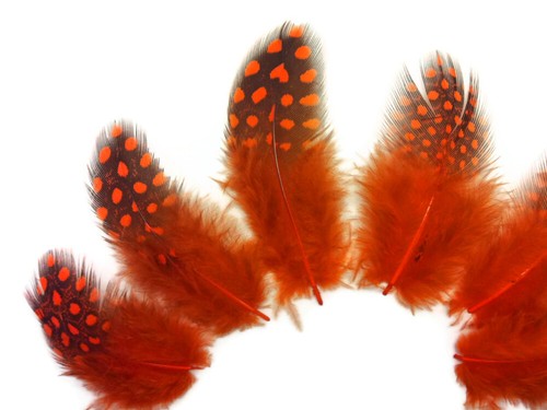 1 Pack - Orange Guinea Hen Polka Dot Plumage Feathers Halloween Wedding Craft - 第 4/10 張圖片
