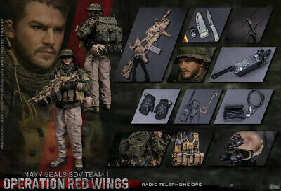 DAMTOYS Navy Seals SDV Team Operation Red Wings 1/6 Scale DAMTOYS Navy Seals SDV Team Operation Red Wings 1/6 Scale