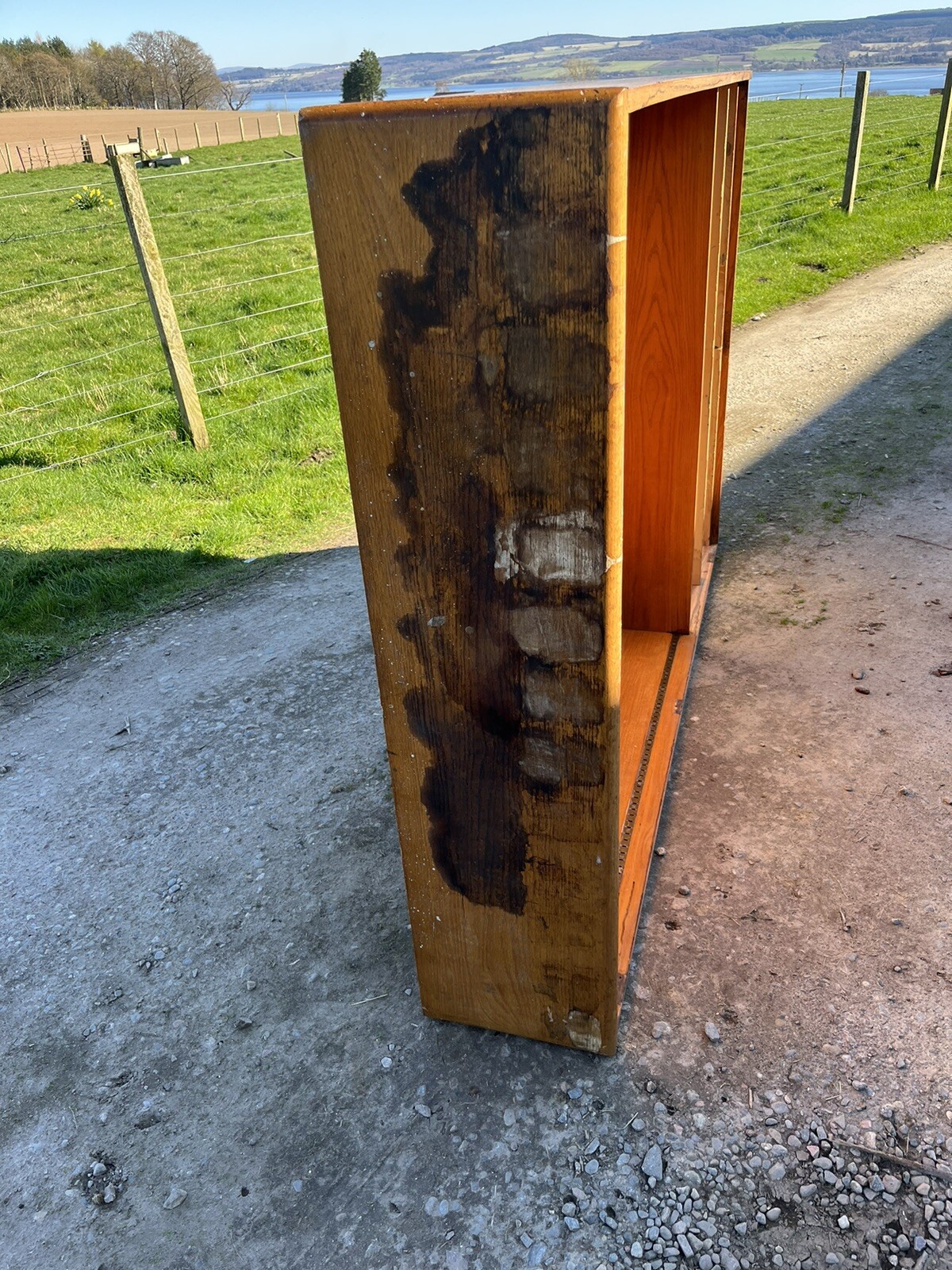 Picture 16 of 16