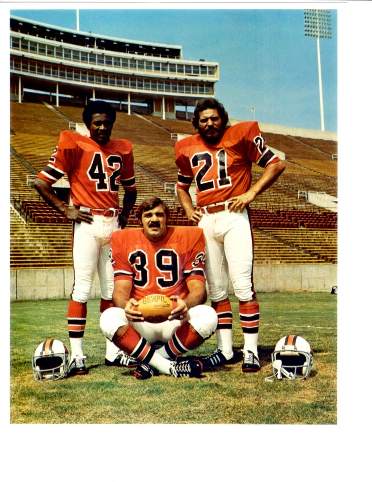 MEMPHIS GRIZZLIES DOLPHINS 8X10 PHOTO WARFIELD CSONKA KIICK WFL FOOTBALL NFL