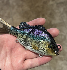 Leurre Souple Bluegill Glide 5 Pouces - Peinture Custom Avec Hochets - Coule Lentement