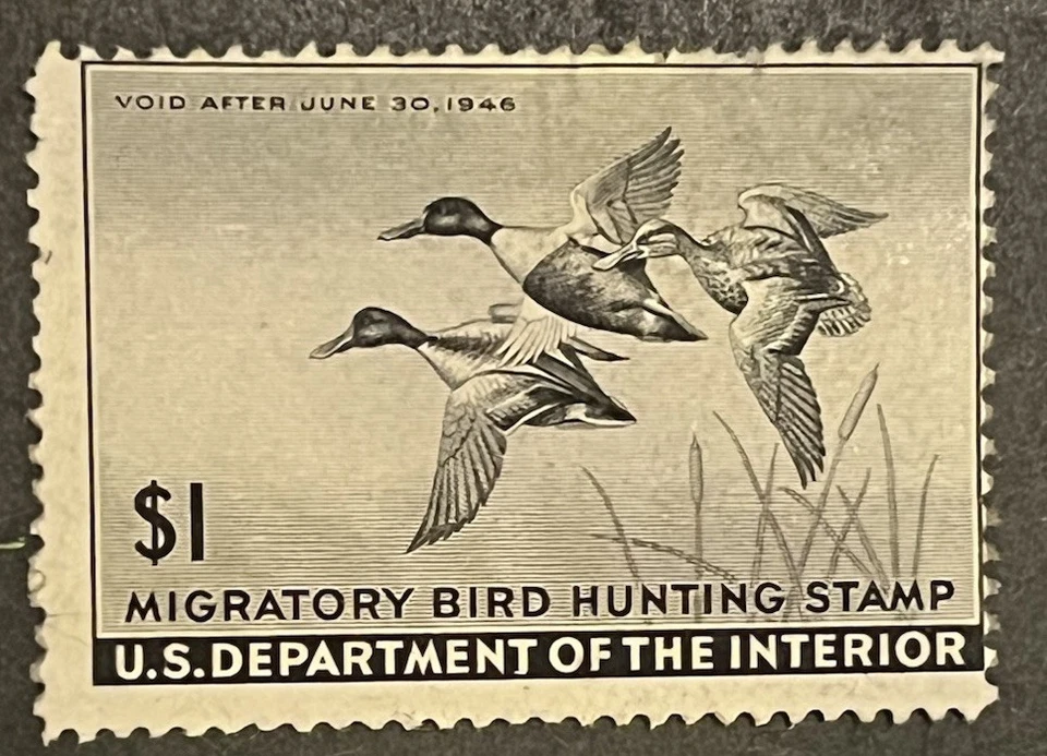 Travelstamps: 1945 US stamps Scott #RW12 Unsigned Paper Remnant - Imagem 2 de 4