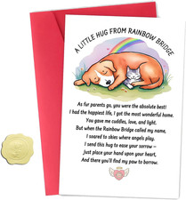 Rainbow Bridge Pet Sympathy Card for Loss of Dog or Cat, Heartfelt Condolence Ca