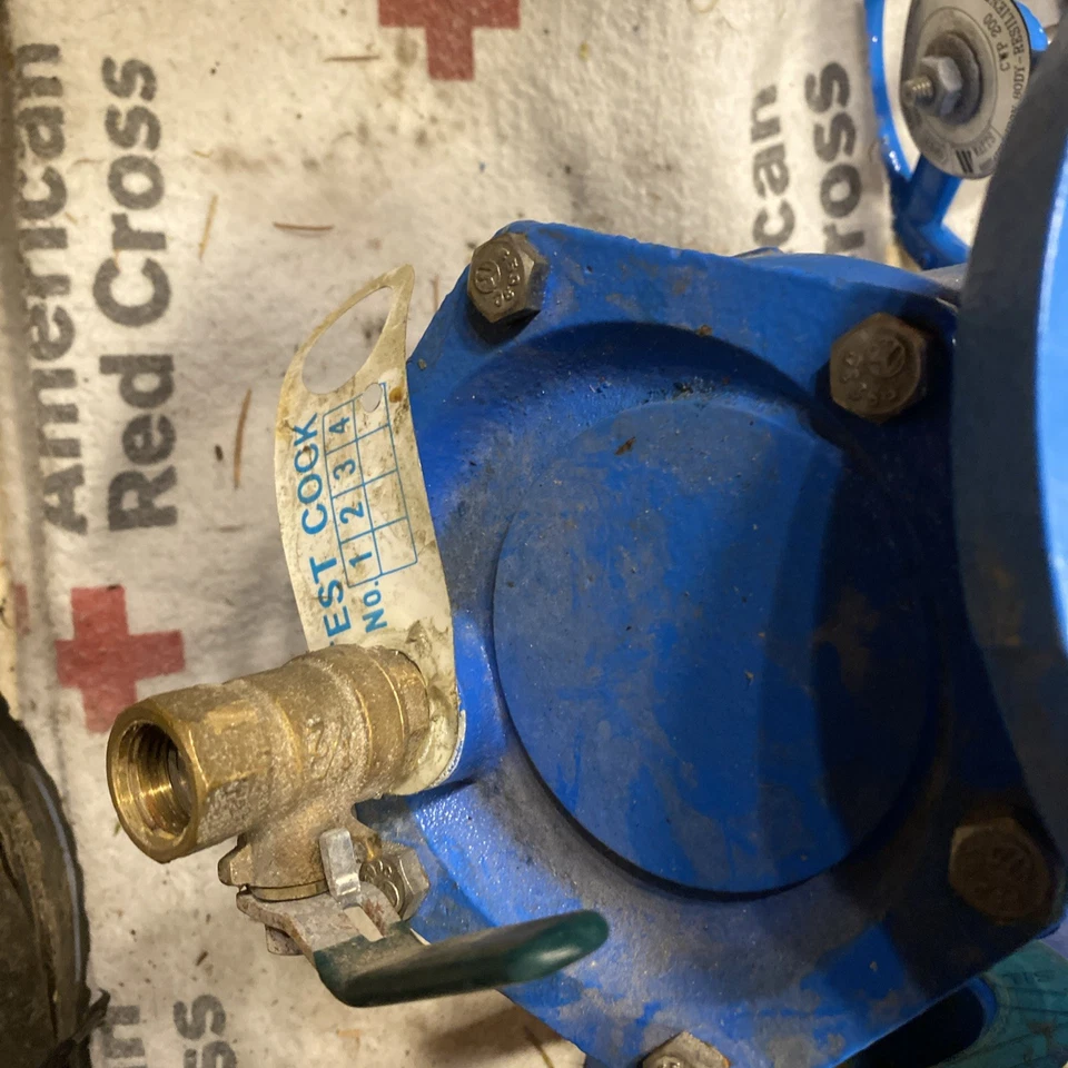 Colador WATTS 77F Wye Y 2-1/2" Clase 125 / 200 FF Brida | Cuerpo CI | Pantalla SS Foto 2 de 4