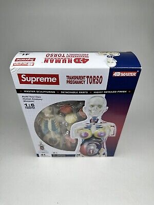New Supreme 4D Master Human Anatomy Model Female Transparent New Supreme 4D Master Human Anatomy Model Female Transparent