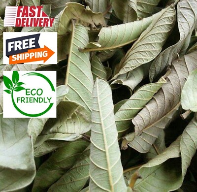 100g of Organic Dried Guava Leaves 100% Natural Eco Friendly Psidium guajava