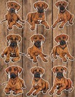 Rhodesian Ridgeback Die Cut Stickers Scrapbooking Laptop Waterbottle