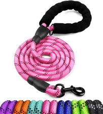 Dog Leash 5/6 FT with Comfortable Padded Handle and Highly Reflective Threads...