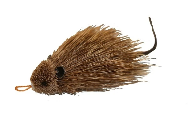Da rat hotsell cat toy