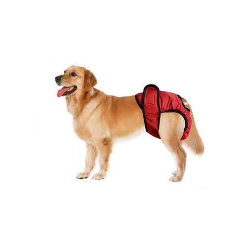 Windeln Für Hunde Hündinnen Unterhose Hundewindel Höschen Hund Hose XS bis XXL✅✅ - Bild 20 von 20