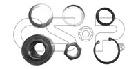 GSP GK0961 Radlagersatz For CitroËN Dacia Peugeot