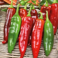 Big JIm Hot Pepper Organic 25 Seeds Heirloom Non-GMO