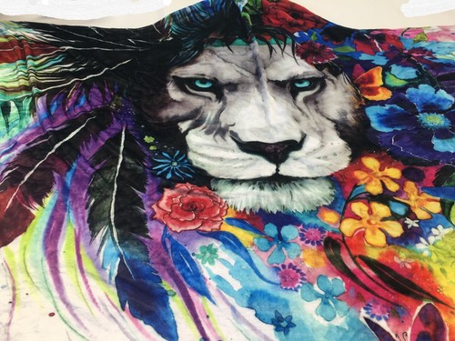 Electro Threads Micro Manta de Lanza con Capucha Nueva Sin Etiquetas Rasta Rafiki Rey del León OM - Imagen 12 de 57
