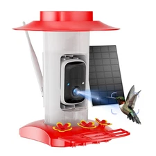 Hummingbird Feeder with Camera Outdoor, Hanging Bird Feeder with Ant Moat & B...