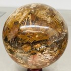 Natural Petrified Wood Polished Stone Quartz Crystal Sphere Ball Healing 2500G — photo 8