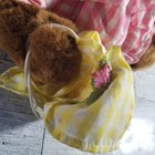 Bild 3 von 11