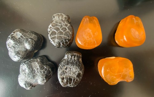 Lot 19 Travel/Hotel Toiletries Atelier Bloem Pharmacopeia Flamingo Giovanni Kuer - Picture 8 of 8