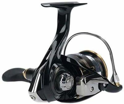 Daiwa Reel 19 Ballistic LT3000S-CXH | eBay