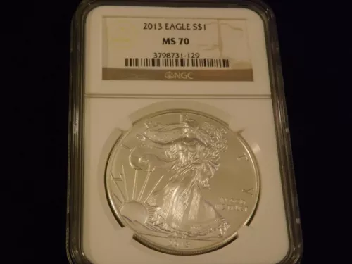 2013   $1      Eagle        NGC  MS 70
