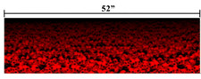 ENVOLTURA DE VINILO CALAVERA Vinilo Gráficos Calaveras 20" x 52" Laminado Envoltura Hoja Rojo (H)