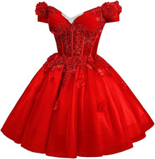 3D Butterfly Homecoming Dresses for Teens Quinceanera Sequin Short Prom Gown