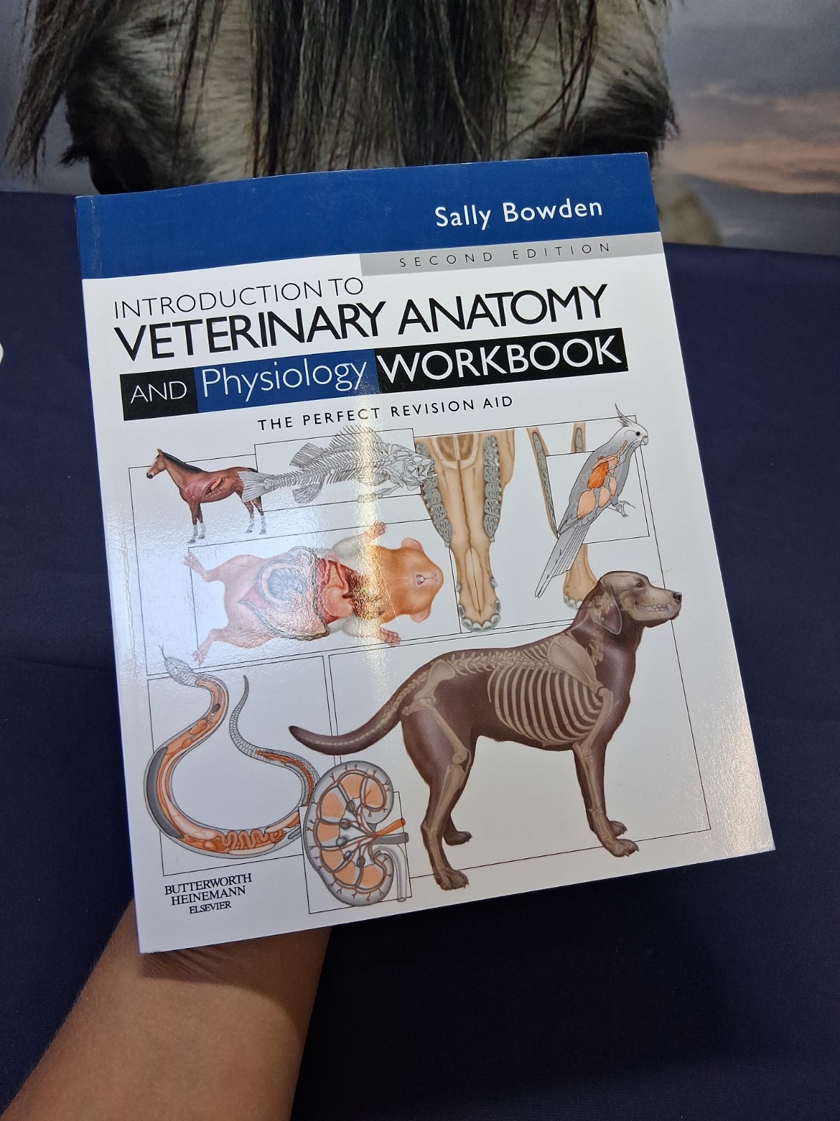 Introduction to Veterinary Anatomy and Physiology Workbook by Sally J. Bowden...