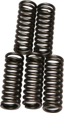 EBC CSK Clutch Spring Kit CSK73