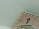 Picture 5 of 23