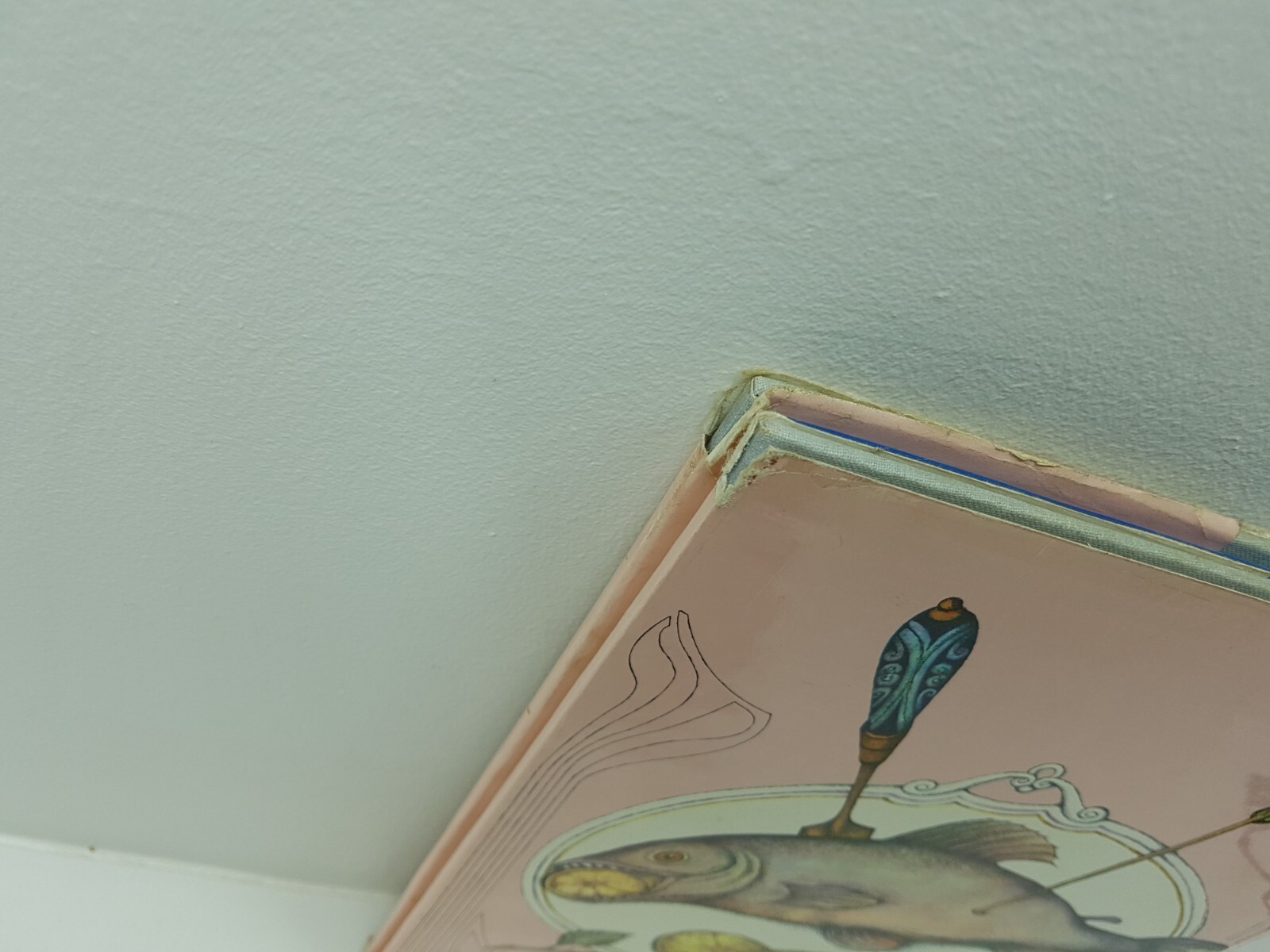Picture 5 of 23