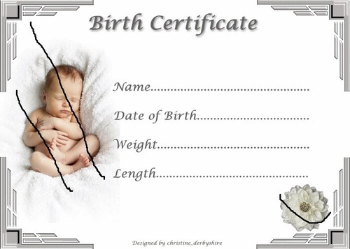 CUTE SILVER BIRTH CERTIFICATE/CERTIFICATES 4 REBORN FAKE BABY approx 7" x 5" B - Picture 4 of 5