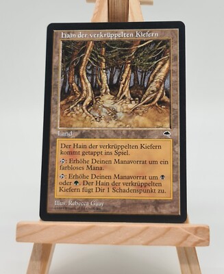 Hain der verkrüppelten Kiefern Sturmwind  Magic Karte MTG deutsch (Pine Barrens)