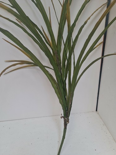 3 X Artificial green/yellow Leaf Orchid large Plants 100cm Foliage, Greenery - Picture 2 of 12