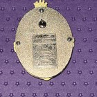 Disney Pin World & Disneyland Castle Window Resort Pins 2 HTF rare Beautiful — photo 10