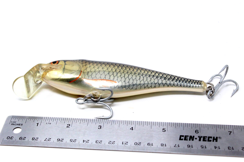 Vintage Rapala Super Shad Rap Musky 6" Deep Runner Balsa Fishing Lure New. - Picture 3 of 5