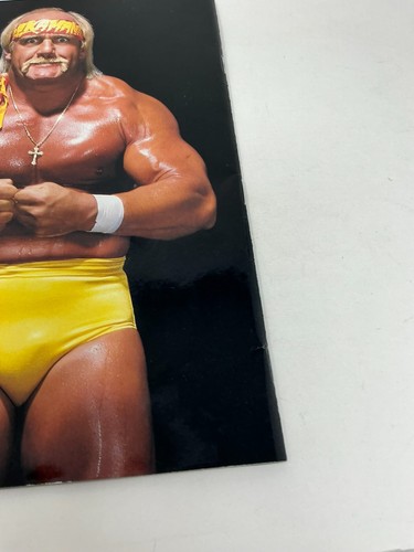 WWE Wrestling Magazin WWF OHNE POSTER Hulkamania August 2002 Sammler - Bild 10 von 10