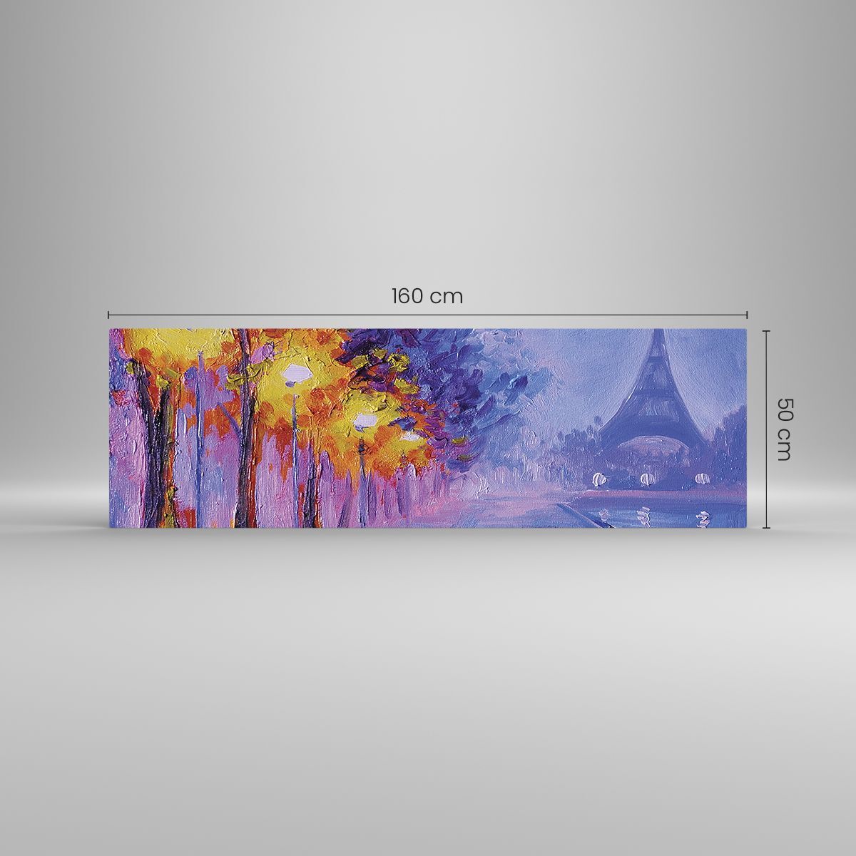 Tableau Déco Murale Avion Ciel Nuages 160x50cm - Impression Sur Toile Moderne