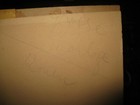 Bild 3 von 8