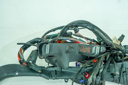 Arnés de cableado principal 13 Harley Sportster personalizado OEM telar encendido NOKey 1357 - Imagen 22 de 24