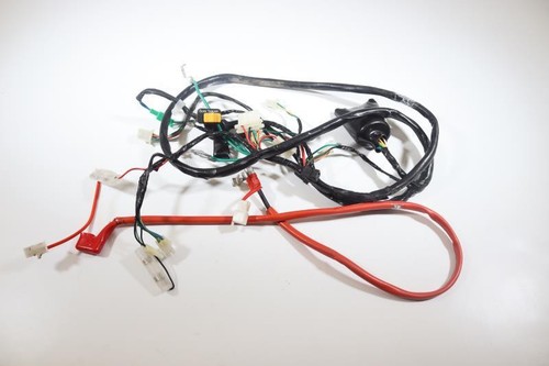 Beam Electrical/Electric SYM 50 SYMPHONIE SR 2011 To 2014 - Picture 2 of 6