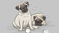 New Pug Dog Breed Design Vinyl Checkbook Cover Pugs