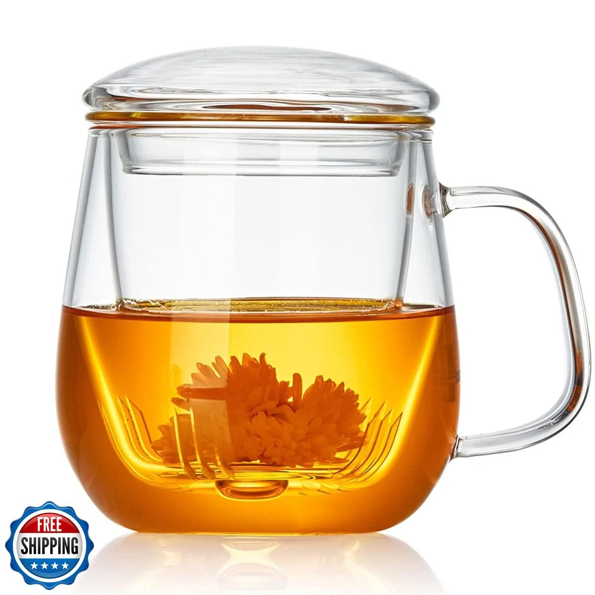 DOPUDO Glass Tea Cup with Infuser and Lid, 17.6oz/520ml Large Bor