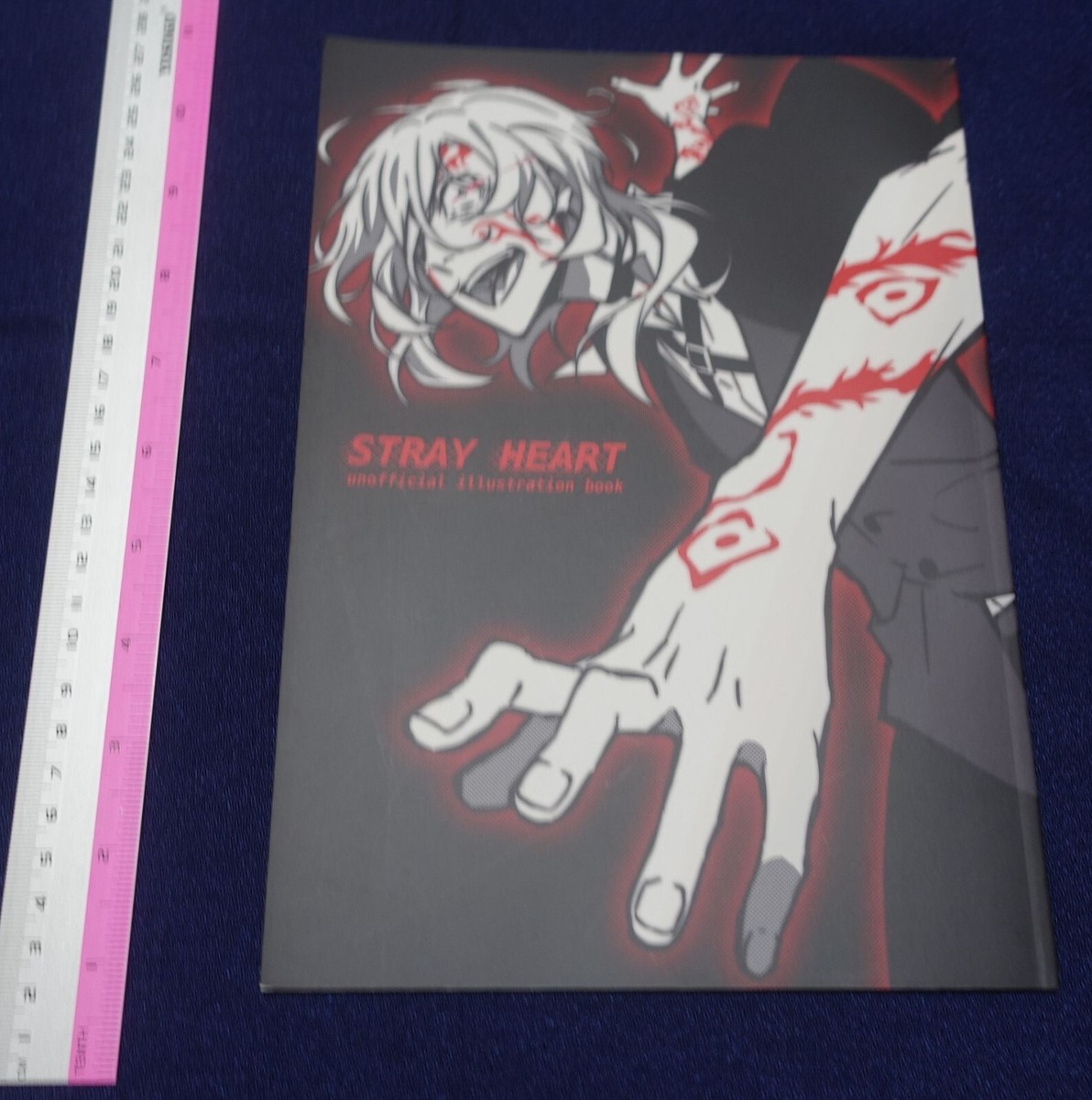 Kohei Tokuoka Bungo Stray Dogs Art Director's Fan Art Book STRAY