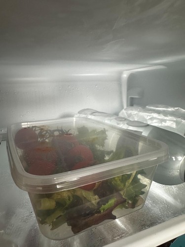 Reusable Food Containers & lids Takeaway Microwave Freezer Safe Storage Plastic - Afbeelding 3 van 9
