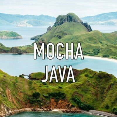 MOCHA JAVA DARK ROAST COFFEE BEANS WHOLE BEAN FRESH GOURMET BULK 5LB FIVE BAGS