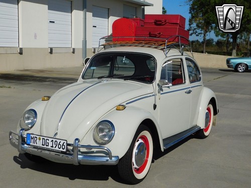 1966 Volkswagen Beetle - Classic - Picture 12 of 12